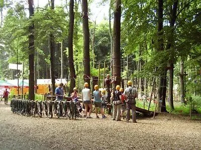 Orpington Dreisbach (Westerwaldkreis)